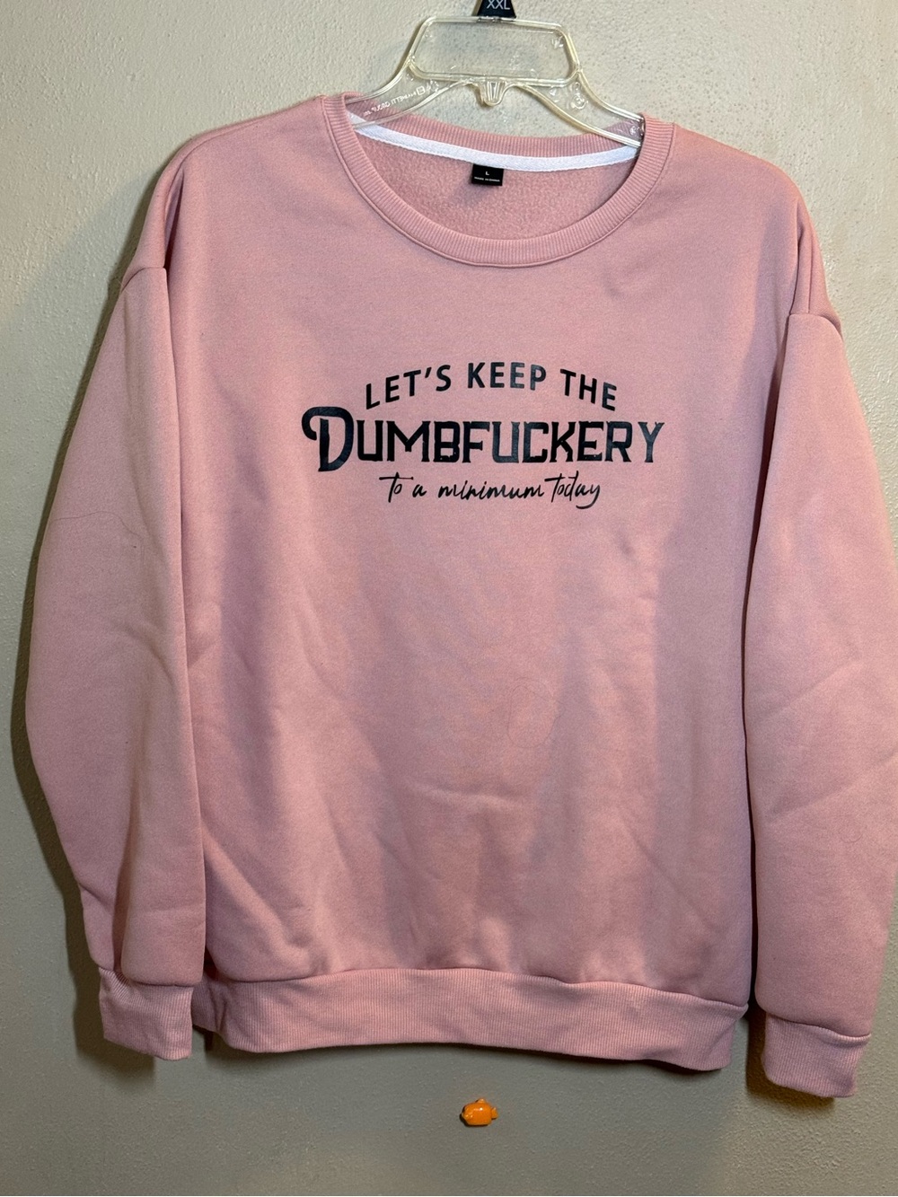 NWOT Women’s Lt Pink Crewneck Sweatshirt - “Casual Statement” Sz oversized Lg